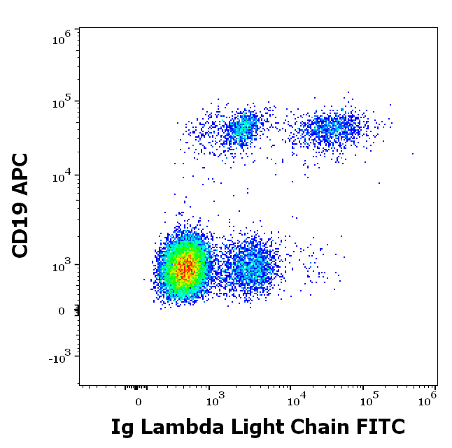 Ig Lambda Light Chain Antibody (FITC)
