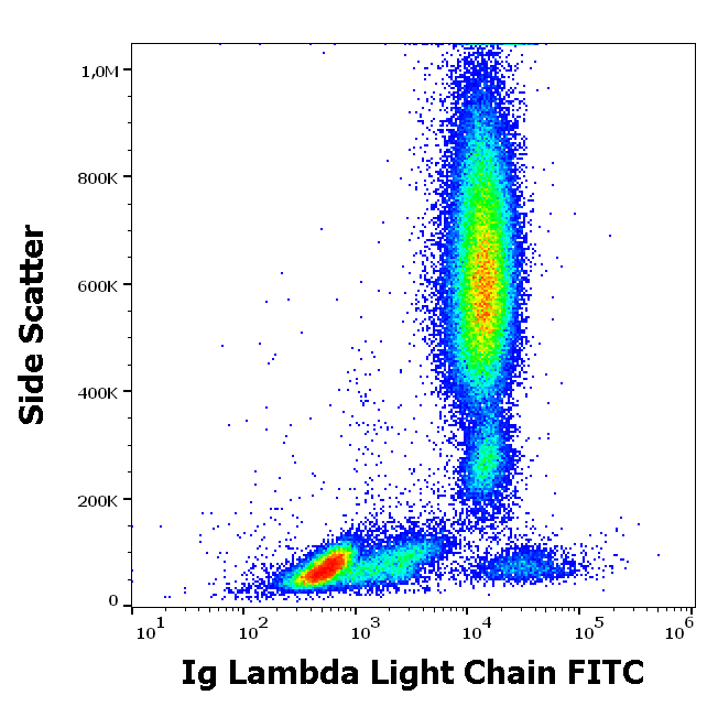 Ig Lambda Light Chain Antibody (FITC)