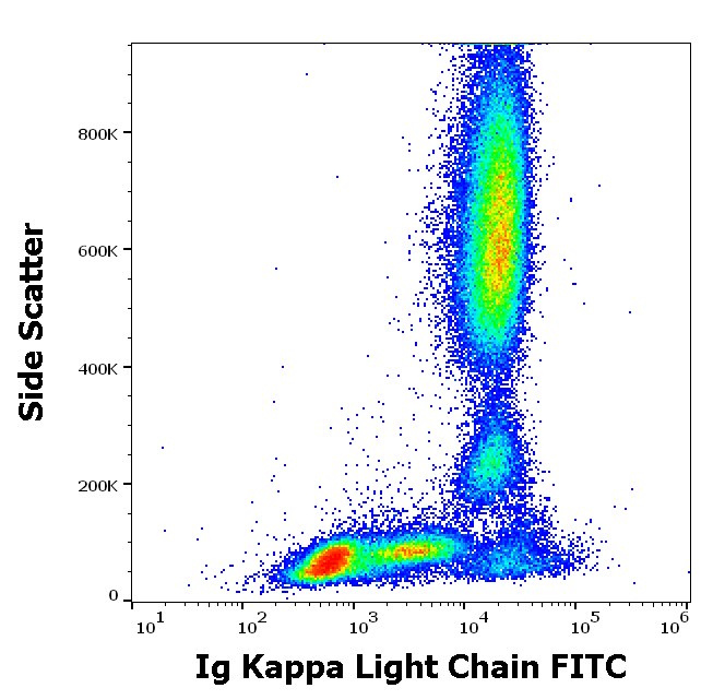 Ig Kappa Light Chain Antibody (FITC)