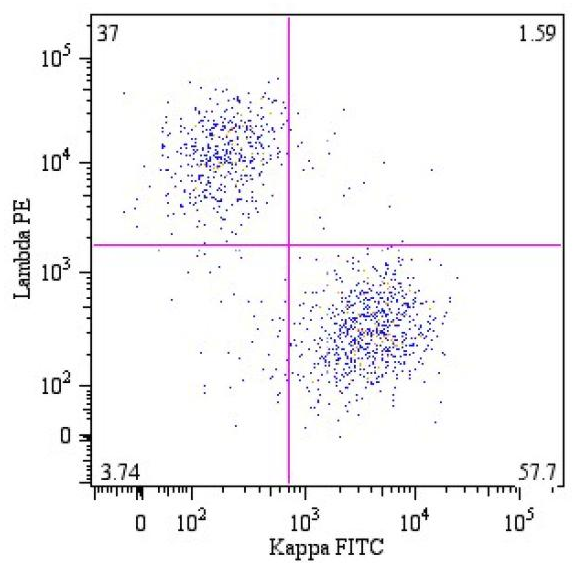 Ig Kappa Light Chain Antibody (FITC)