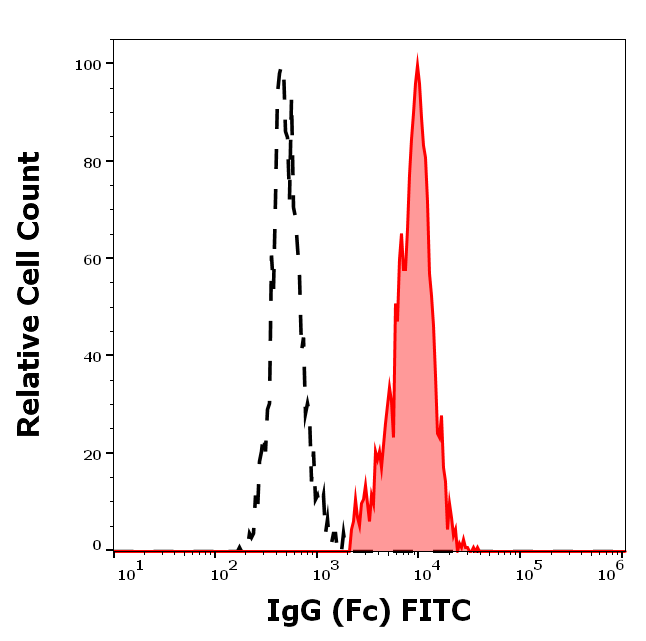 IgG (Fc) Antibody (FITC)