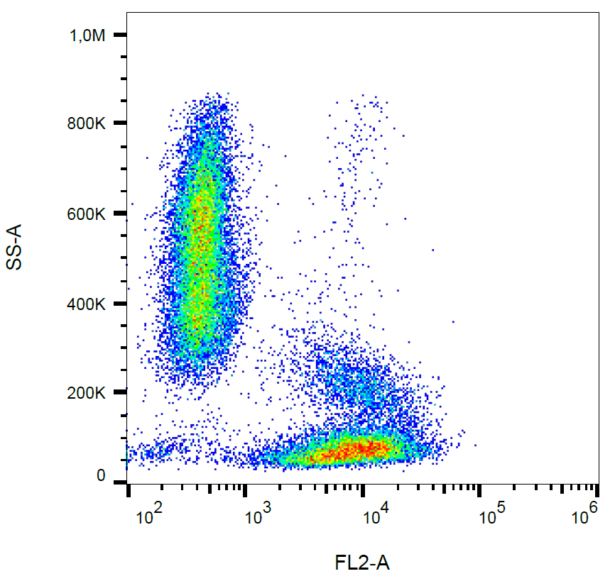 CD49d Antibody (PE)