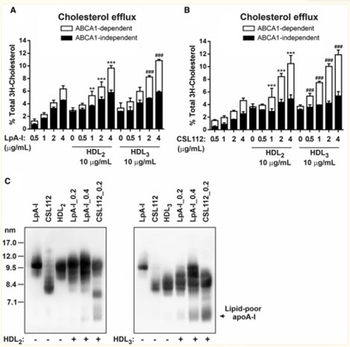 Apoa1 Antibody