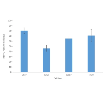HSP70 Antibody (HRP)
