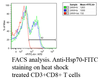 HSP70 Antibody (HRP)