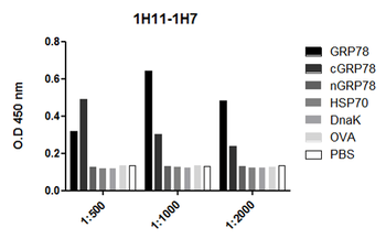 GRP78 Antibody (HRP)