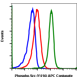 Phospho-Src (Tyr416) (C4) rabbit mAb APC conjugate Antibody