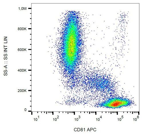 CD81 antibody (APC)