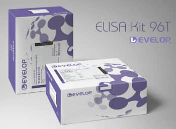 Equine Eosinophil Chemotactic Factor (ECF) ELISA Kit