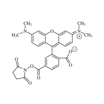 6-Carboxytetramethylrhodamine NHS ester, single isomer (6-TAMRA-SE) 5 mg