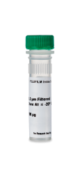 Recombinant Human FGF-acidic / FGF-1