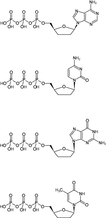 Structural formula of ddNTP Bundle (ddATP, ddCTP, ddGTP and ddTTP 10 mM solutions, 2',3'-Dideoxyadenosine-5'-triphosphate, Lithium salt; 2',3'-Dideoxycytidine-5'-triphosphate, Lithium salt; 2',3'-Dideoxyguanosine-5'-triphosphate, Lithium salt; 2',3'-Dideoxythymidine-5'-triphosphate, Lithium salt)