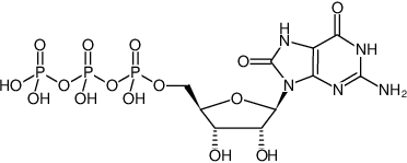 Structural formula of 8-Oxo-GTP (8-Hydroxy-GTP, 8-Oxo-guanosine-5'-triphosphate, Sodium salt)