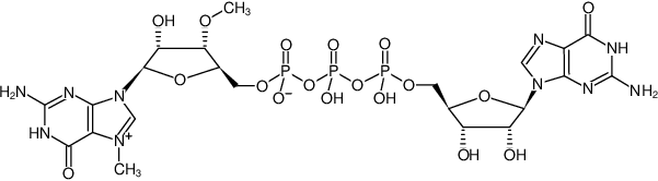 Structural formula of m27,3'-OGP3G (ARCA Cap Analog) - Solution (m27,3'-OG(5')ppp(5')G)