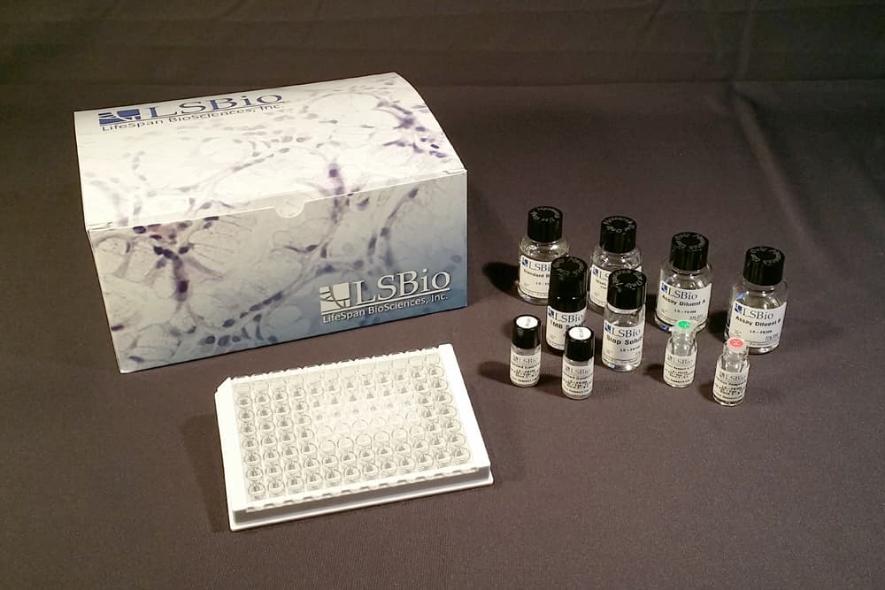 Goat BMP4 ELISA Kit (CLIA)