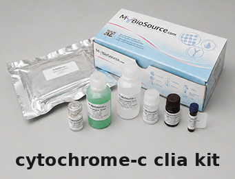 Rat CLIA Kit – Cat# MBS8426673