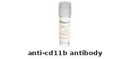 Rat Anti-CD11b Monoclonal Antibody – Cat# MBS216534