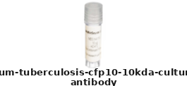 Mouse Anti-Mycobacterium Tuberculosis CFP10 (10kDa Culture Filtrate Protein) Monoclonal Antibody – Cat# MBS312555