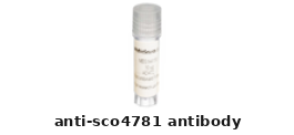 Goat Anti-SCO4781 Polyclonal Antibody – Cat# MBS610286