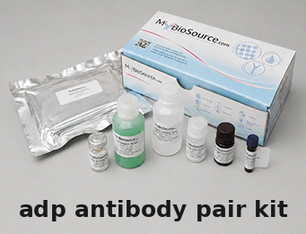 Rat ADP Antibody Pair Kit – Cat# MBS2099188