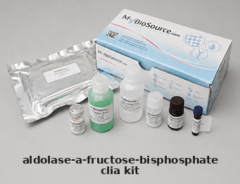 Human CLIA Kit – Cat# MBS8425098