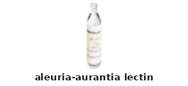 Lectin – Cat# MBS655900