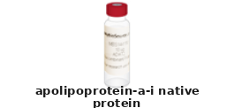 Apolipoprotein A-I