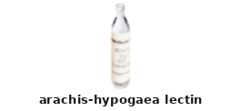 Lectin – Cat# MBS656108