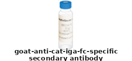 Goat Anti Cat IgA (Fc Specific) Polyclonal Secondary Antibody – Cat# MBS571402