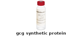 Human GCG Synthetic Protein – Cat# MBS142679
