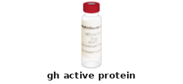 Growth Hormone