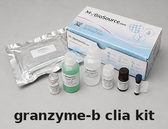 Mouse CLIA Kit – Cat# MBS8426281