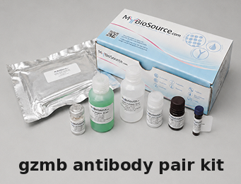 Mouse GZMB Antibody Pair Kit – Cat# MBS2099181
