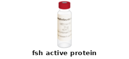 Follicle Stimulating Hormone