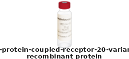 Human Recombinant Protein – Cat# MBS7135878