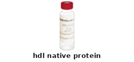 High Density Lipoprotein