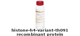 Triticum Aestivum Recombinant Protein – Cat# MBS1221324