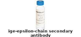 Goat Anti-IgE (Epsilon Chain) Secondary Antibody – Cat# MBS687209