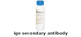 Mouse Anti-IgE Monoclonal Secondary Antibody – Cat# MBS6129368