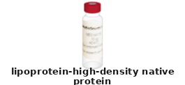 Lipoprotein, High Density
