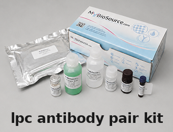 General LPC Antibody Pair Kit – Cat# MBS2104194