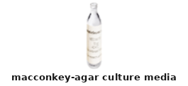 MacConkey Agar Culture Media – Cat# MBS653342