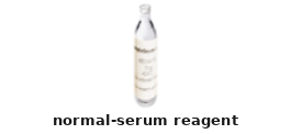 Normal Serum Reagent – Cat# MBS5316743
