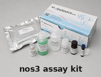 NOS3 Assay Kit – Cat# MBS480447