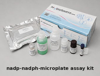 General NADP Assay Kit – Cat# MBS4504363