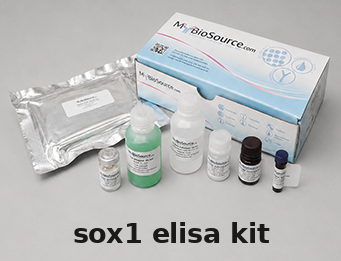 Hamster SOX1 ELISA Kit – Cat# MBS006666