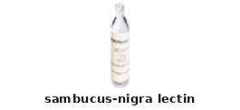 Lectin – Cat# MBS656461