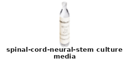 Spinal Cord Neural Stem Culture Media – Cat# MBS2577348