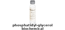 Phosphatidyl Glycerol Biochemical – Cat# MBS393629