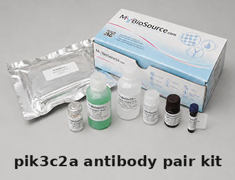 Human PIK3C2a Antibody Pair Kit – Cat# MBS2098860